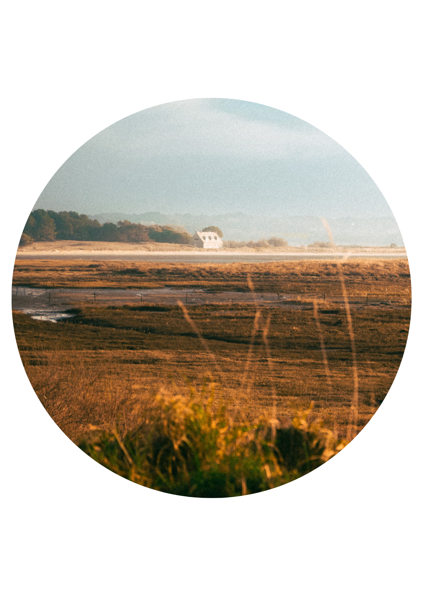 Parc naturel régional
