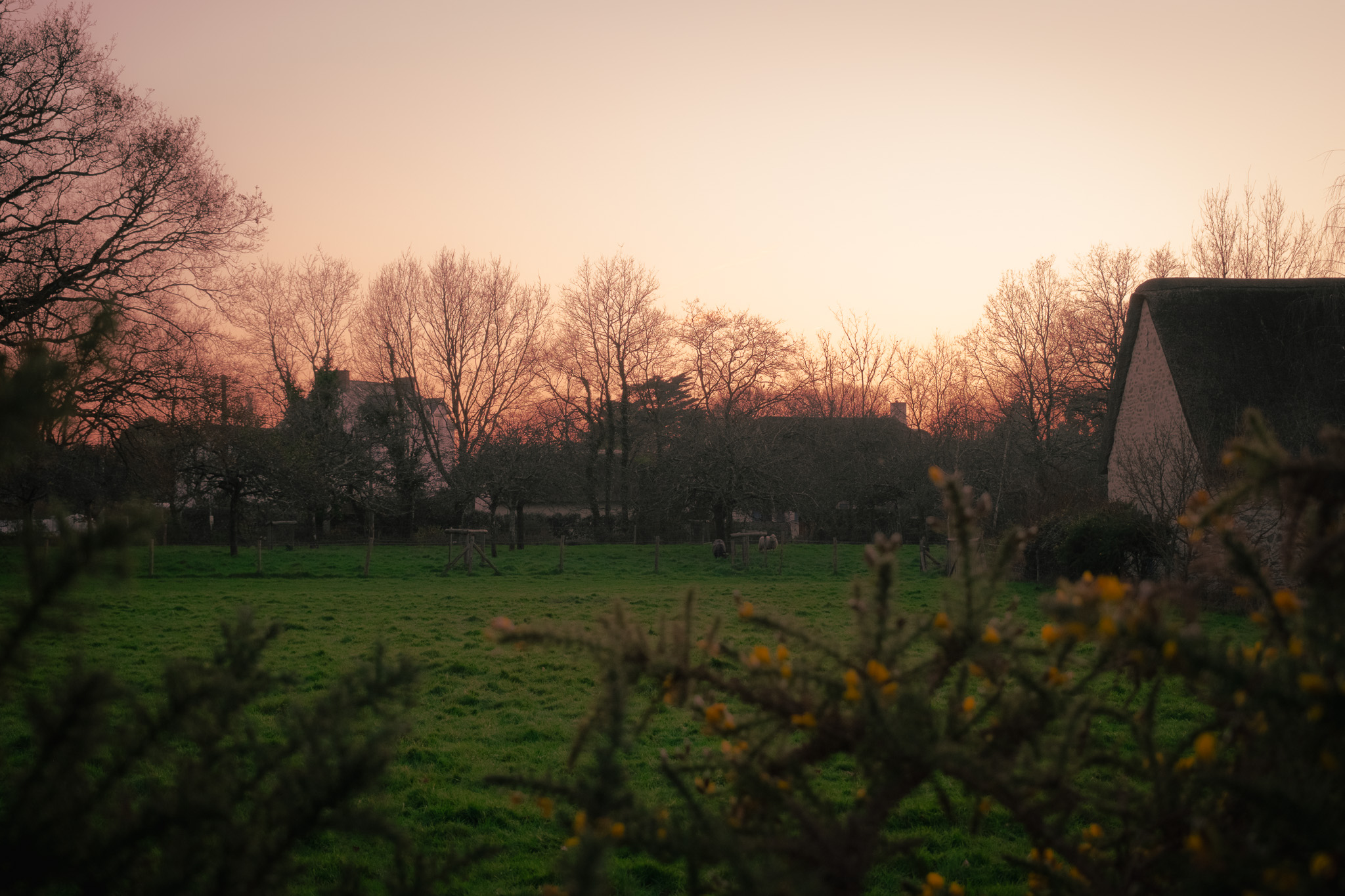 Territoire 3