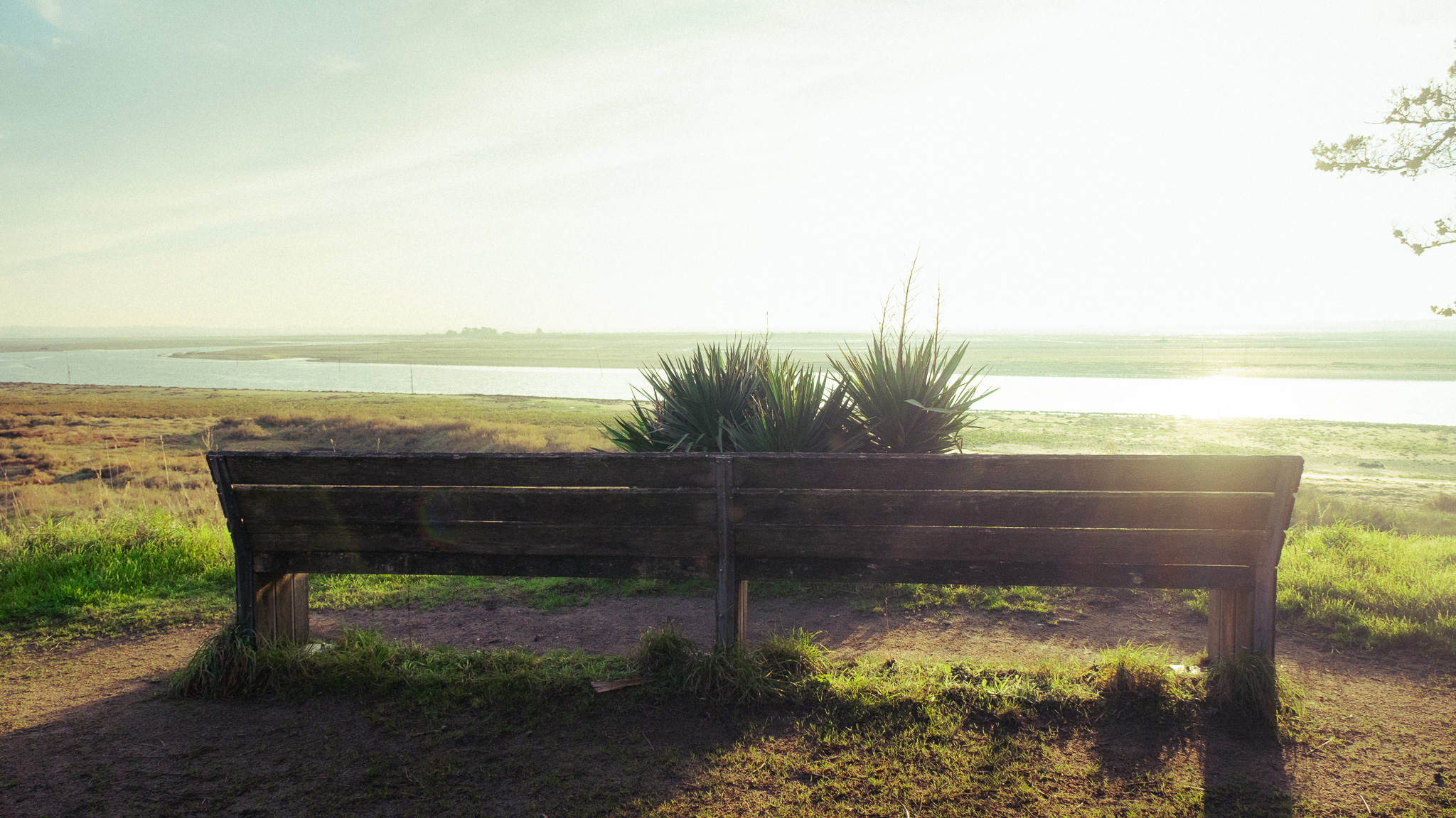 Territoire 6