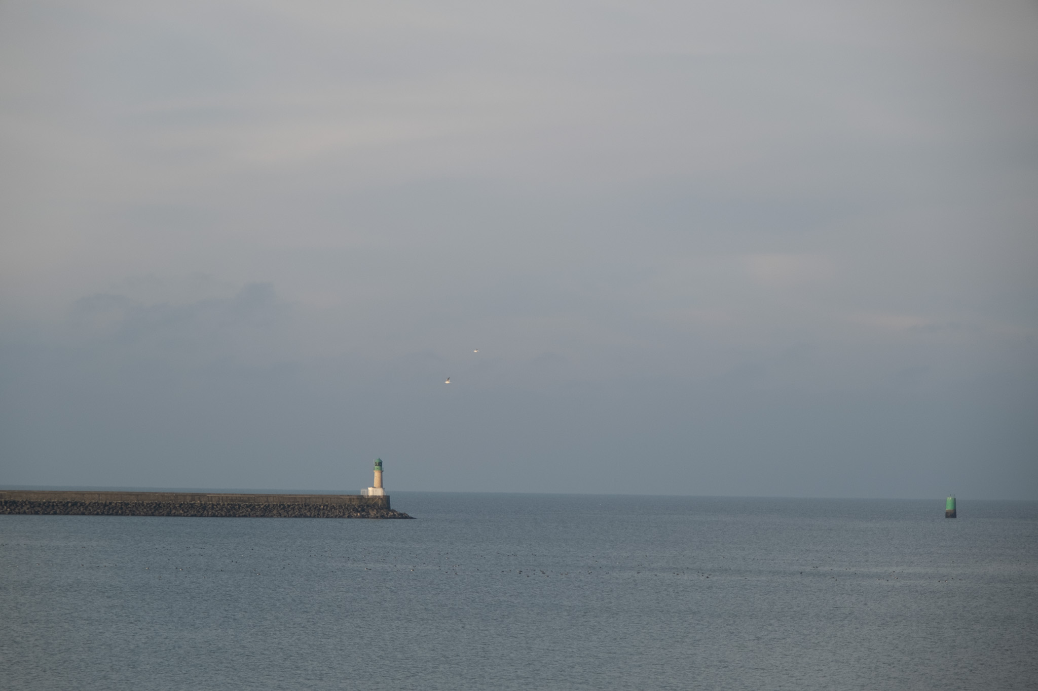 Territoire 9